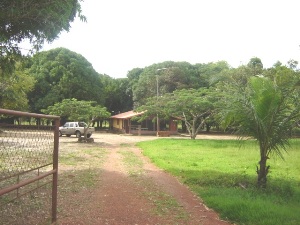 VENDO FAZENDA EM TOCANTINS